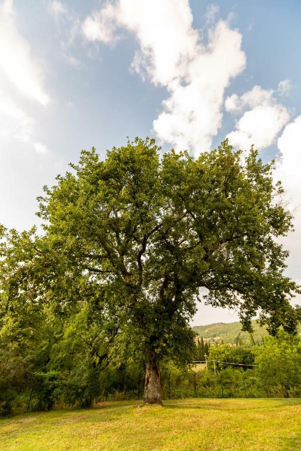 Casa Gabry Βίλα Sarteano Εξωτερικό φωτογραφία